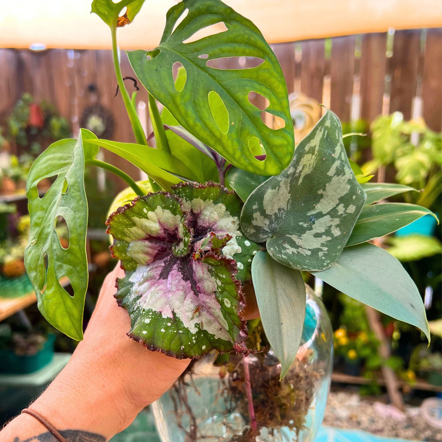 🌴✨ Plant Baddie Mystery Box